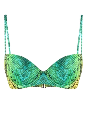 Noire Swimwear snakeskin-print bikini top - Green