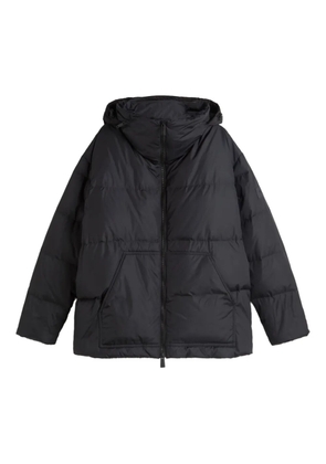 Premiata hooded padded jacket - Black