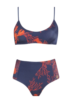 Brigitte coral-print bikini - Blue