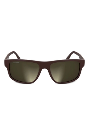 Lacoste square sunglasses - Brown
