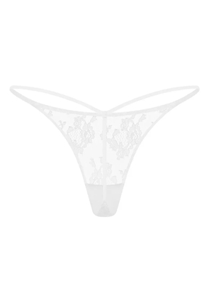 Zhilyova Tara floral-lace thong - White