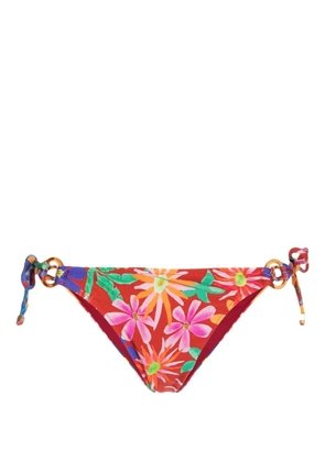 PatBO Aster floral-print bikini brief - Red