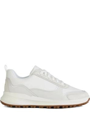 Geox Biela panelled sneakers - White