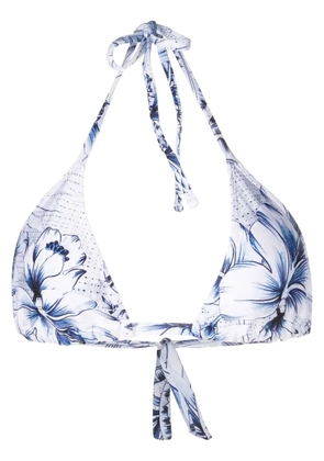 Lygia & Nanny graphic-print bikini top - Blue