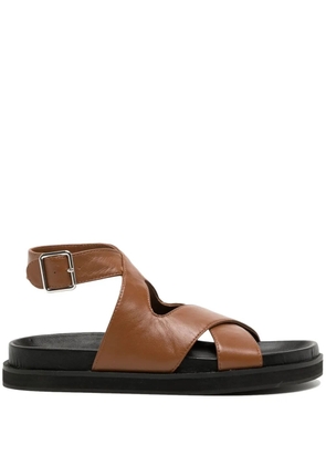 Senso Noah open toe sandals - Brown
