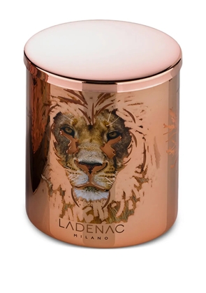 LADENAC lion-print candle (350g) - Orange