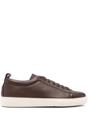 Henderson Baracco Colby sneakers - Brown