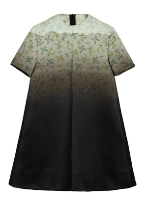 Jil Sander floral-print gradient mini dress - Green