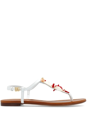 Dolce & Gabbana coral-embroidered leather sandals - White