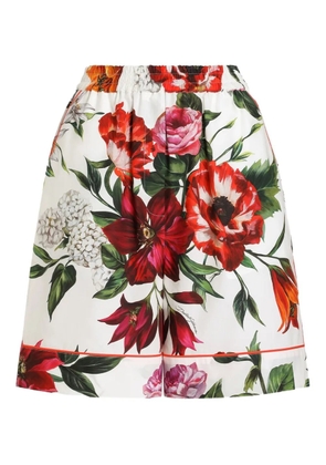 Dolce & Gabbana cotton shorts - White