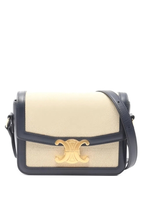 Celine Pre-Owned Triomphe Teen shoulder bag - Neutrals