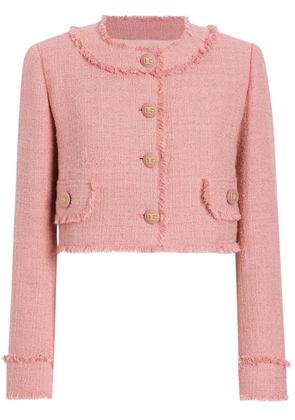Dolce & Gabbana DNA tweed jacket - Pink