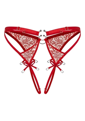 Zhilyova Aurora briefs - Red