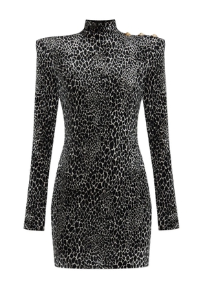 Balmain padded-shoulder animal-print dress - Black