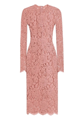 Dolce & Gabbana DNA laced midi dress - Pink
