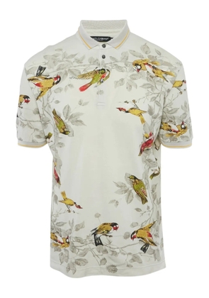 Dolce & Gabbana Pre-Owned bird-print buttoned polo shirt - Grey