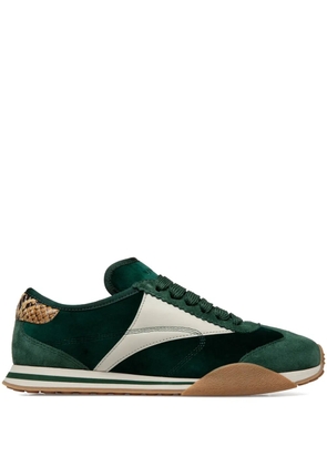 Bally Sussex panelled sneakers - Green