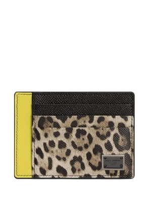 Dolce & Gabbana Dauphine card holder - Grey