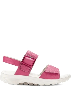 GABOR buckle-strap flat sandals - Pink