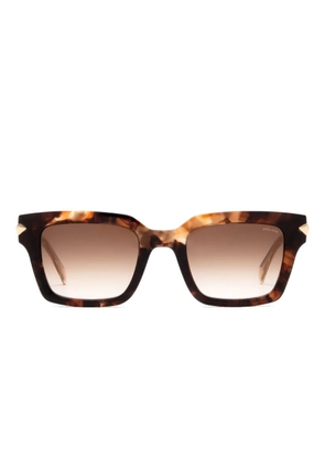 Police Dawn havana square sunglasses - Brown