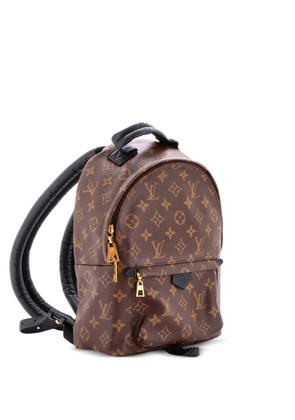 Louis Vuitton Pre-Owned Palm Springs Monogram Canvas PM backpack - Brown