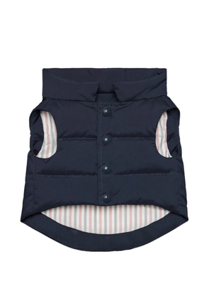 Thom Browne football dog vest - Blue