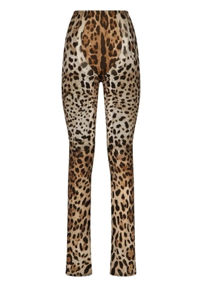 Dolce & Gabbana KIM DOLCE&GABBANA leopard-print flared trousers - Neutrals