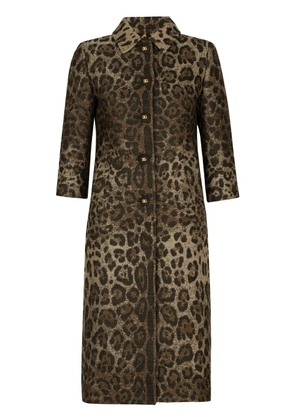 Dolce & Gabbana leopard-print single-breasted coat - Brown