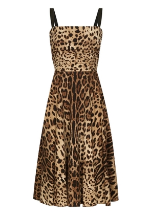 Dolce & Gabbana leopard-print midi dress - Brown