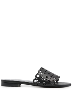 TWINSET slip-on flat sandals - Black