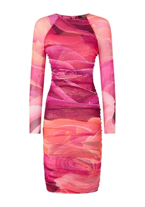 Roberto Cavalli rose-print midi dress - Pink