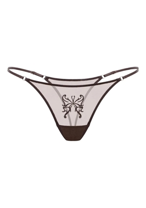 Zhilyova Butterfly Gravity butterfly embroidered g-string - Brown