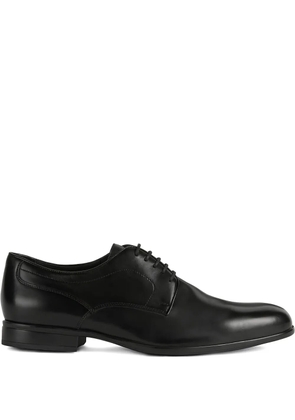 Geox lace-up leather shoes - Black