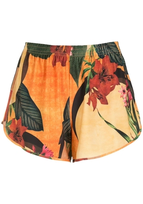Lygia & Nanny Lee floral-print shorts - Yellow