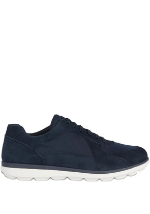 Geox Spherica EC12 Leisure suede mesh trainers - Blue