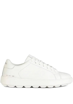 Geox Spherica Ecub-1 sneakers - White