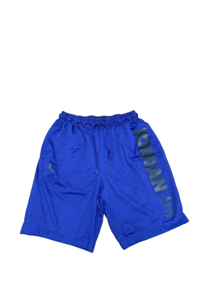 Jordan legacy 11 mesh shorts - Blue