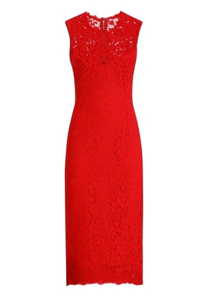 Dolce & Gabbana floral-lace midi dress - Red