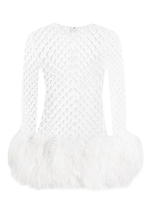 Dolce & Gabbana mesh feather-trim mini dress - White