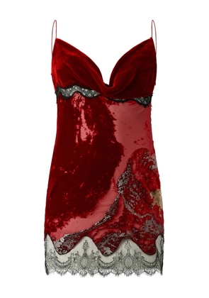 Roberto Cavalli marine print lace mini dress - Red
