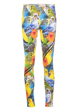 LOEWE bird-print leggings - Blue