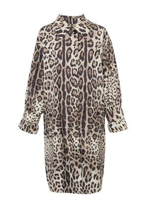 Dolce & Gabbana Pre-Owned leopard-print long-sleeve coat - Neutrals