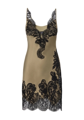 IL VOLO Cara lace-detail mini dress - Green