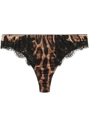 Dolce & Gabbana leopard-print lace-trim thong - Brown
