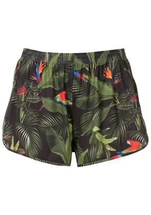 Lygia & Nanny Lee botanical-print shorts - Green