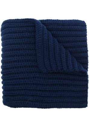 Polo Ralph Lauren ribbed-knit teddy-embroidered scarf - Blue