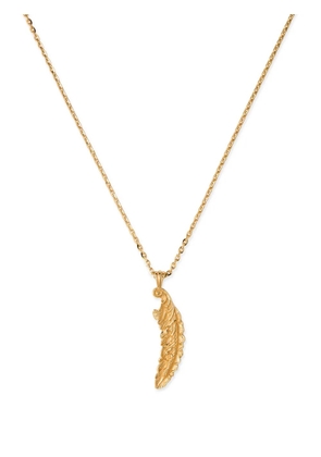 Emanuele Bicocchi Piuma pendant necklace - Gold