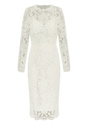 Dolce & Gabbana DNA floral-lace midi dress - White