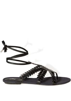 PUCCI feather embellished sandals - Black