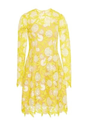 Lela Rose Holly fruit-motif lace mini dress - Yellow